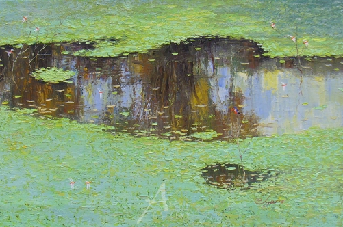 Ao bèo 